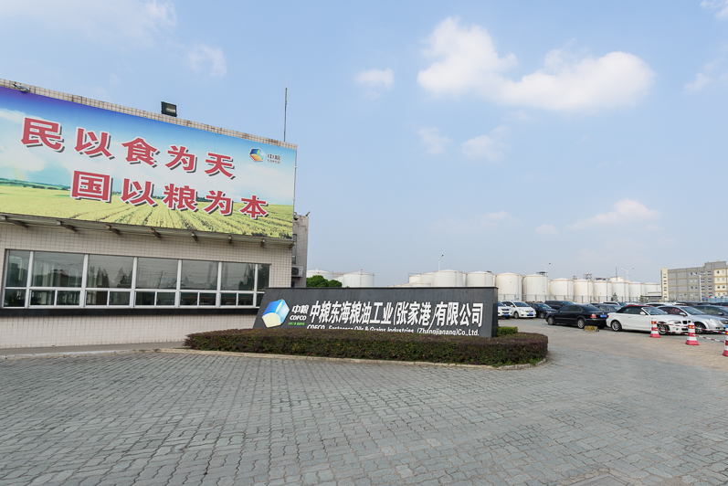 中粮东海210TD污水管道接入市政排水口管架及周边管网工程